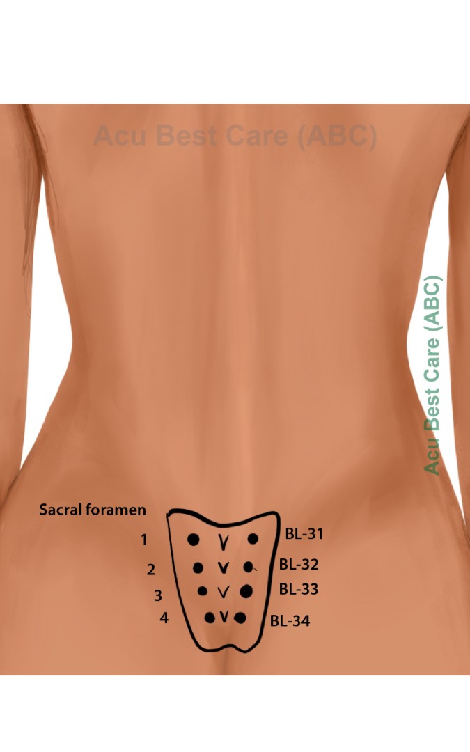 Acubestcare Meridian UB-32 or BL-32